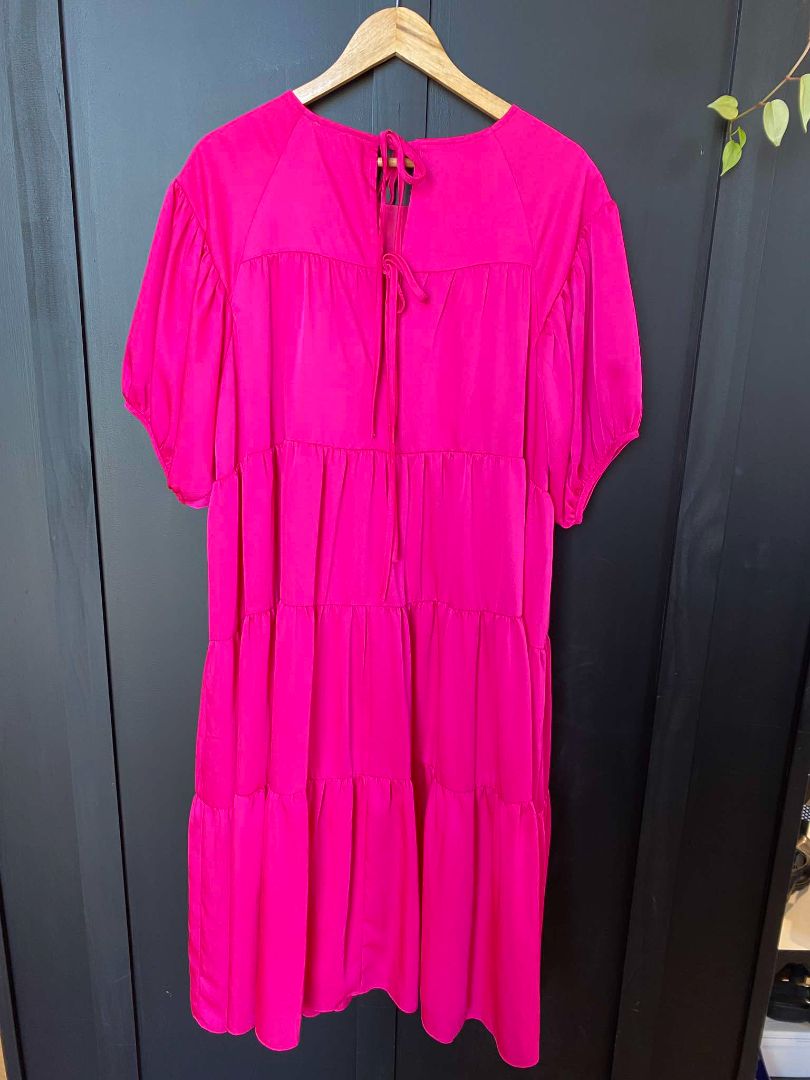 BNWT Pink Augustine Dress, L