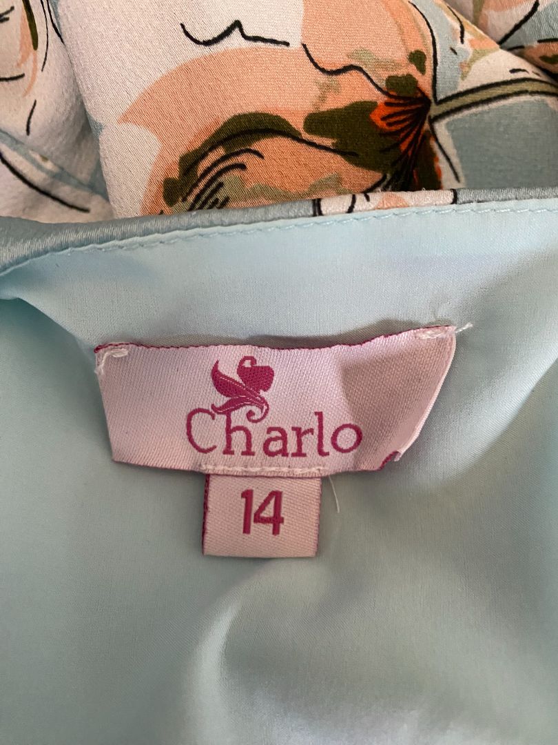 Blue & Multi floral Charlo Top, 14
