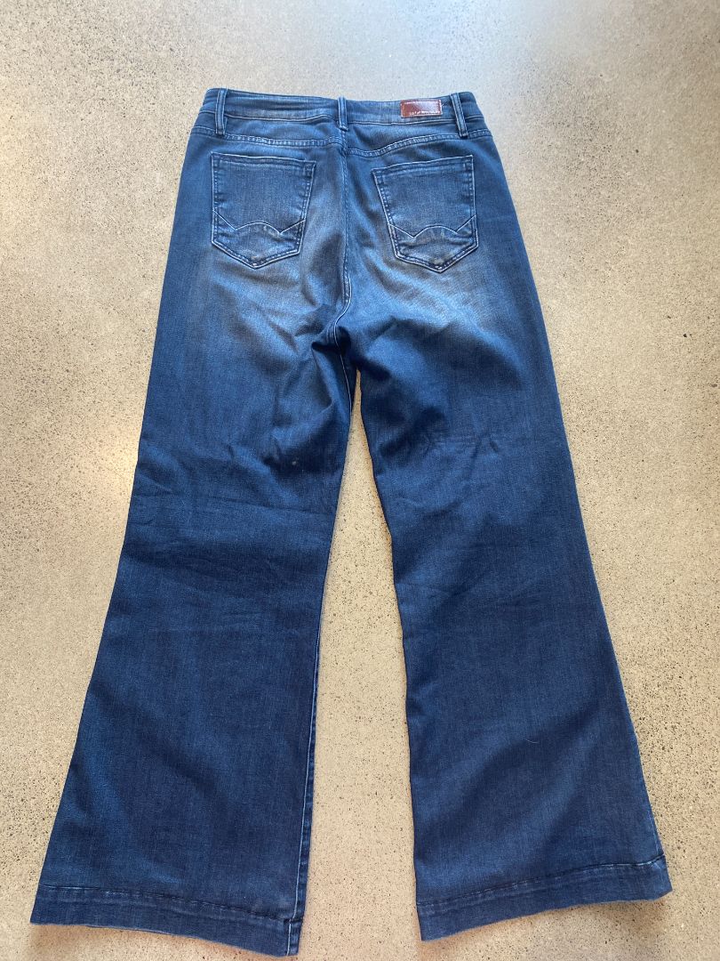 Blue Cult of Individuality Jeans, 29