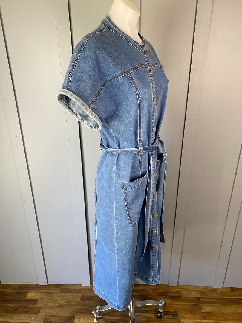 Blue Neris Denim Dress, 12